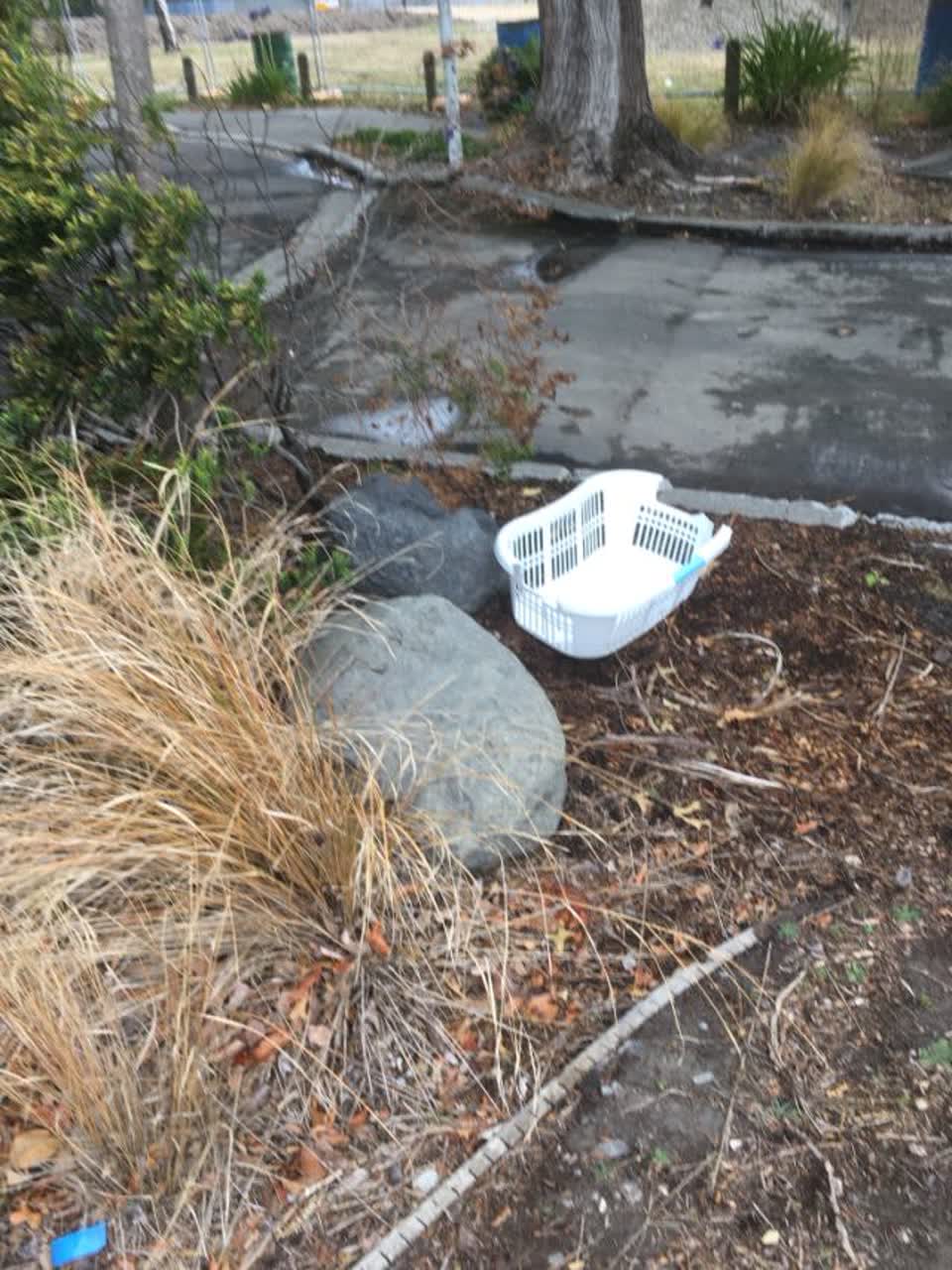 The photograph attached to this rubbish/recycling report