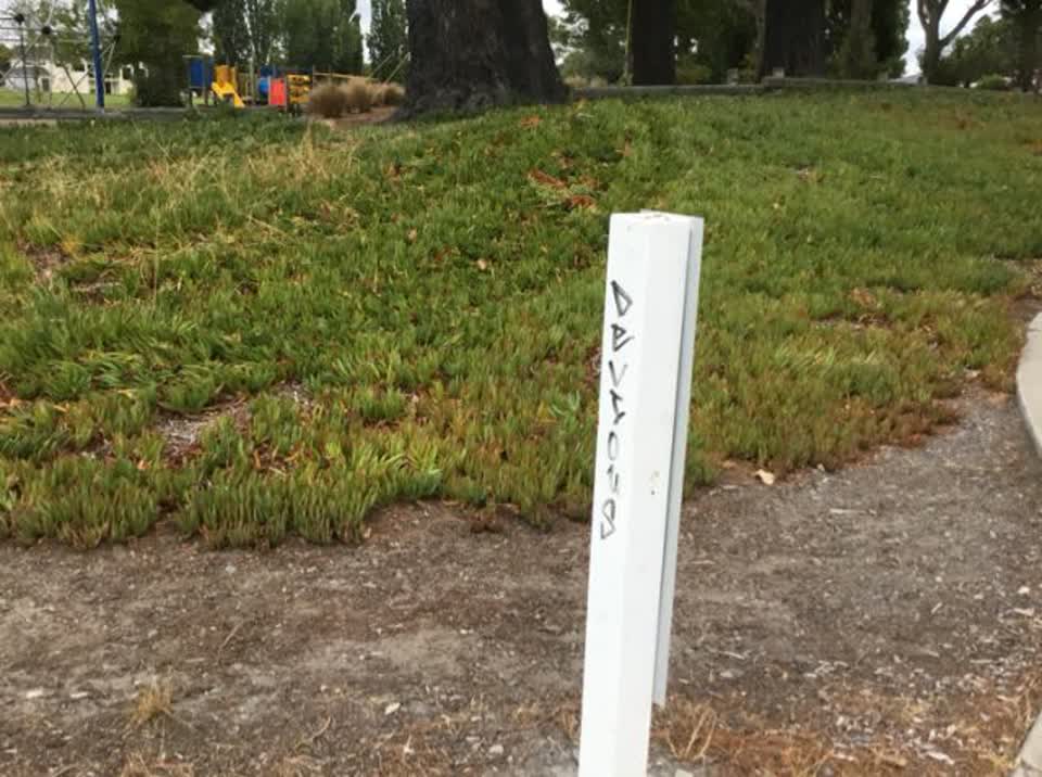 The photograph attached to this graffiti report