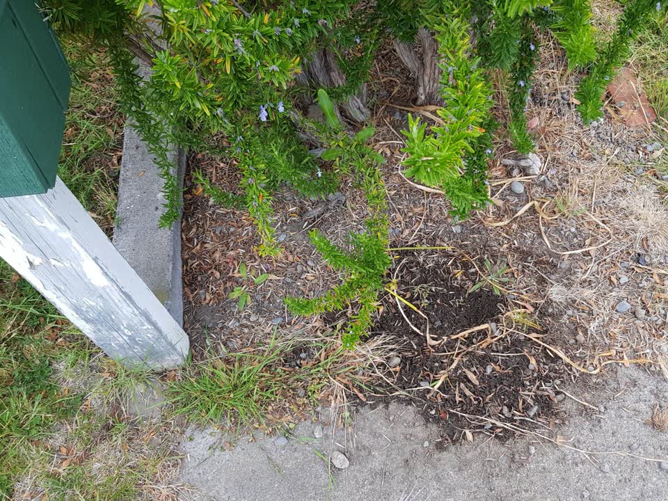 The photograph attached to this water supply report