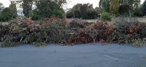 Rubbish/Recycling, a report photo