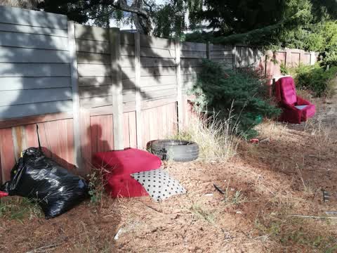 Rubbish/Recycling, a report photo