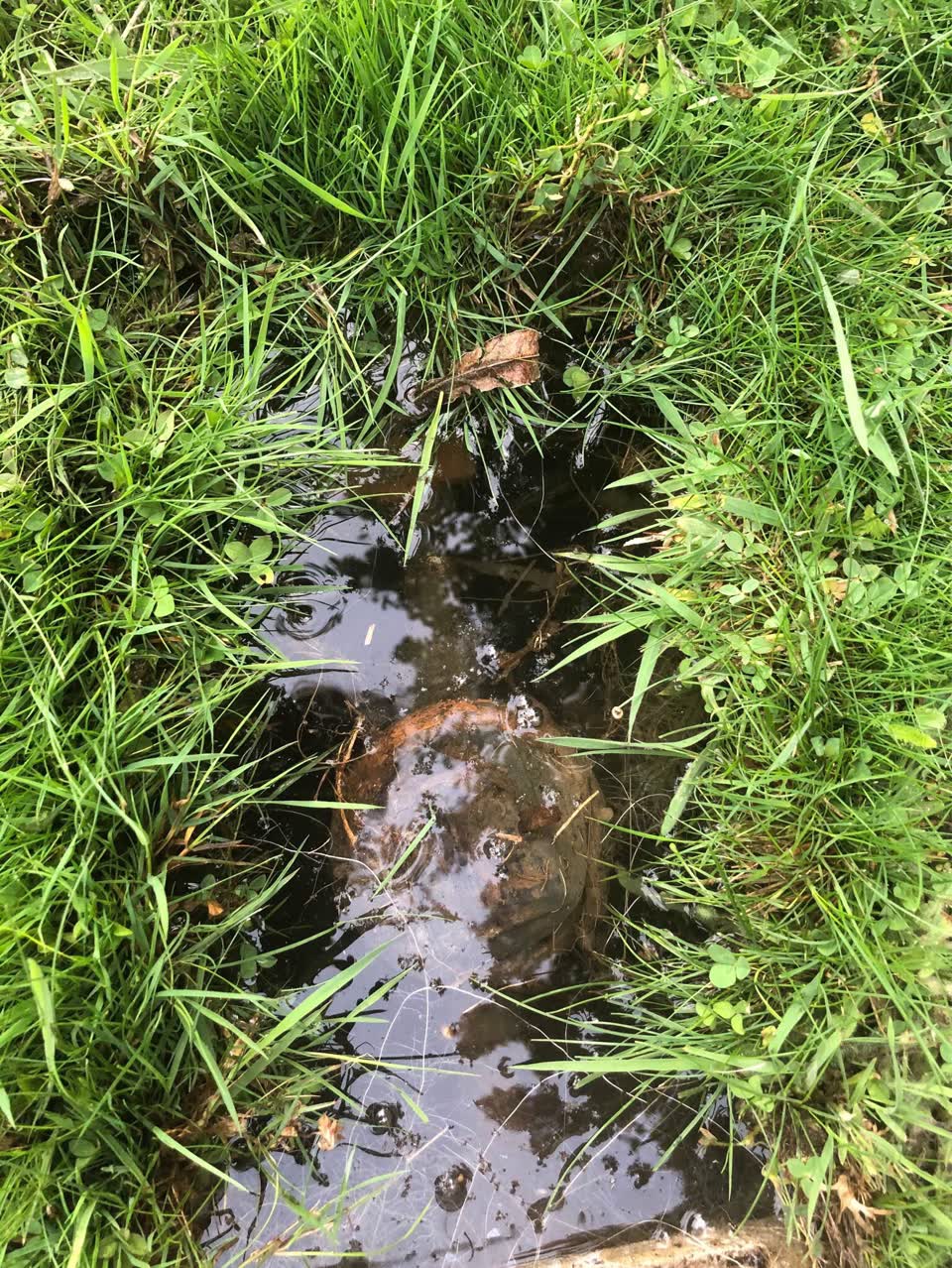 The photograph attached to this water supply report