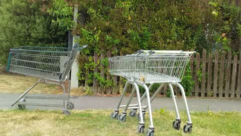 Rubbish/Recycling — a report photo