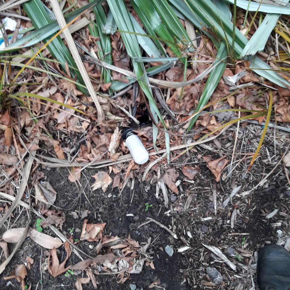 The photograph attached to this parks report