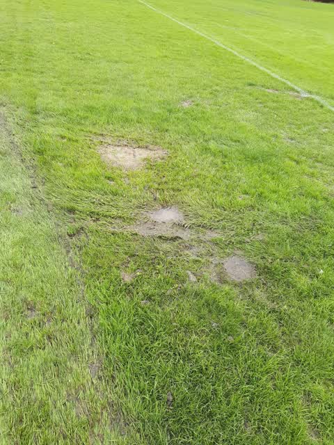 Parks, a report photo