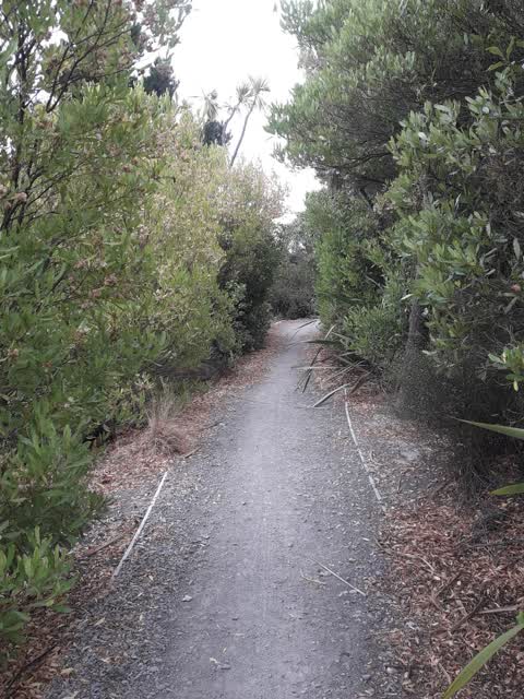 Parks, a report photo