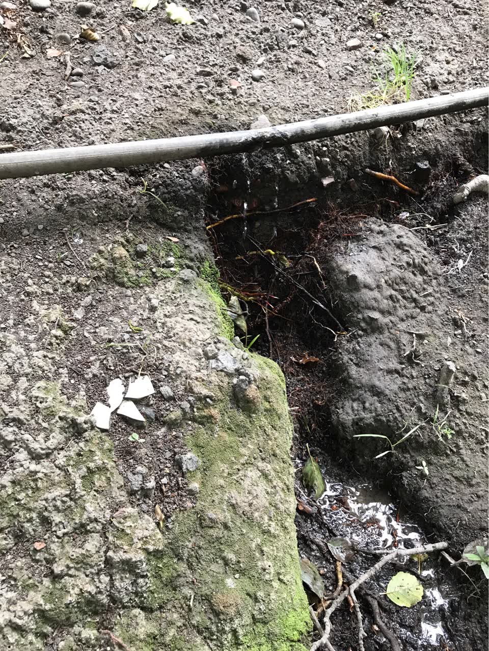 The photograph attached to this water supply report