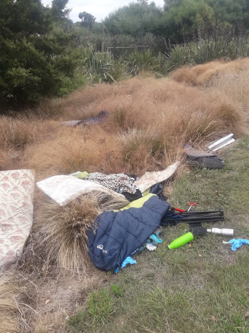 The photograph attached to this parks report