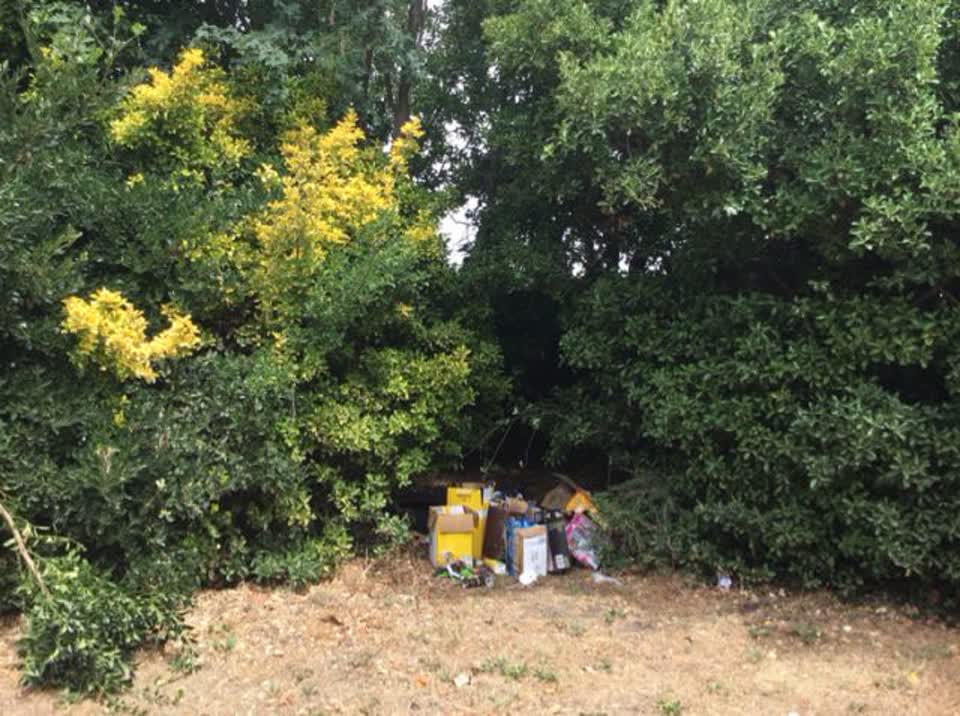 The photograph attached to this rubbish/recycling report