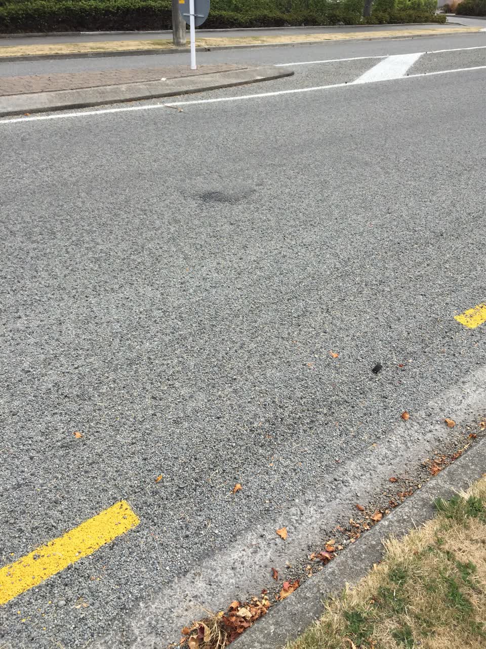 The photograph attached to this roading/streets report