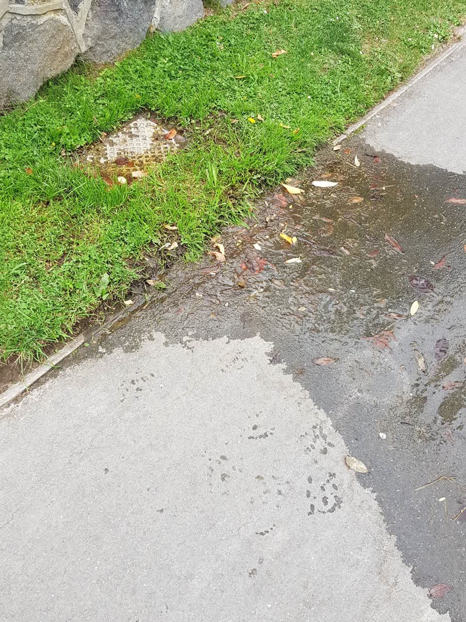 The photograph attached to this water supply report