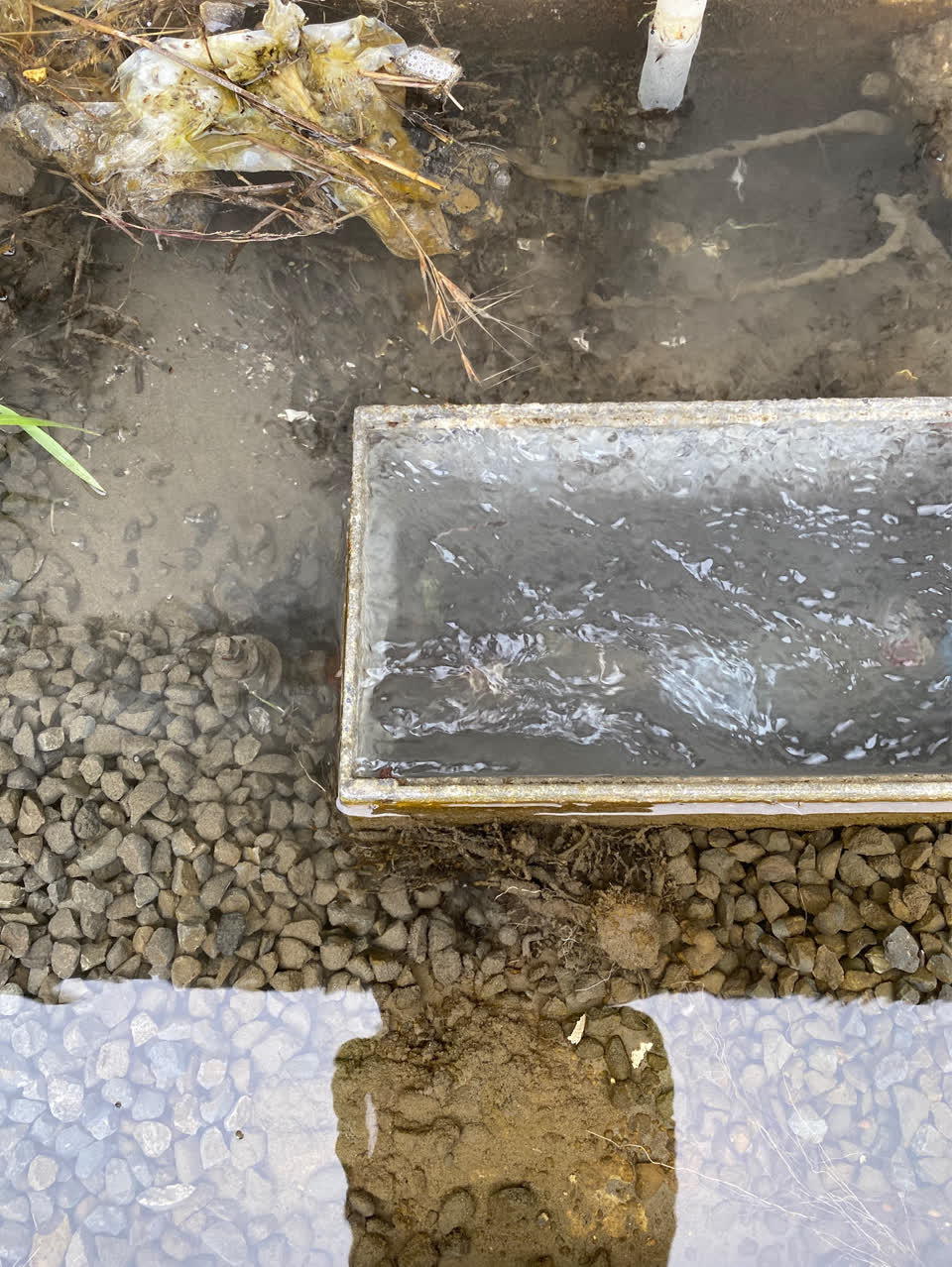 The photograph attached to this water supply report