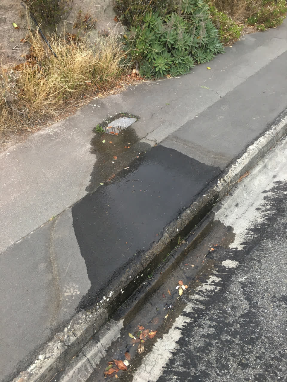 The photograph attached to this water supply report