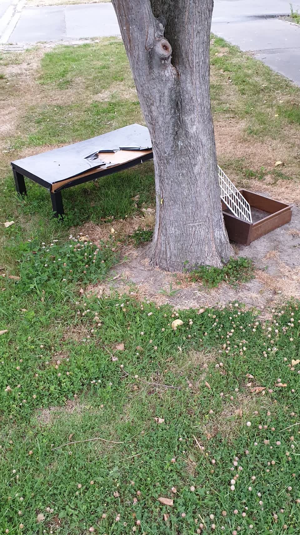 The photograph attached to this rubbish/recycling report