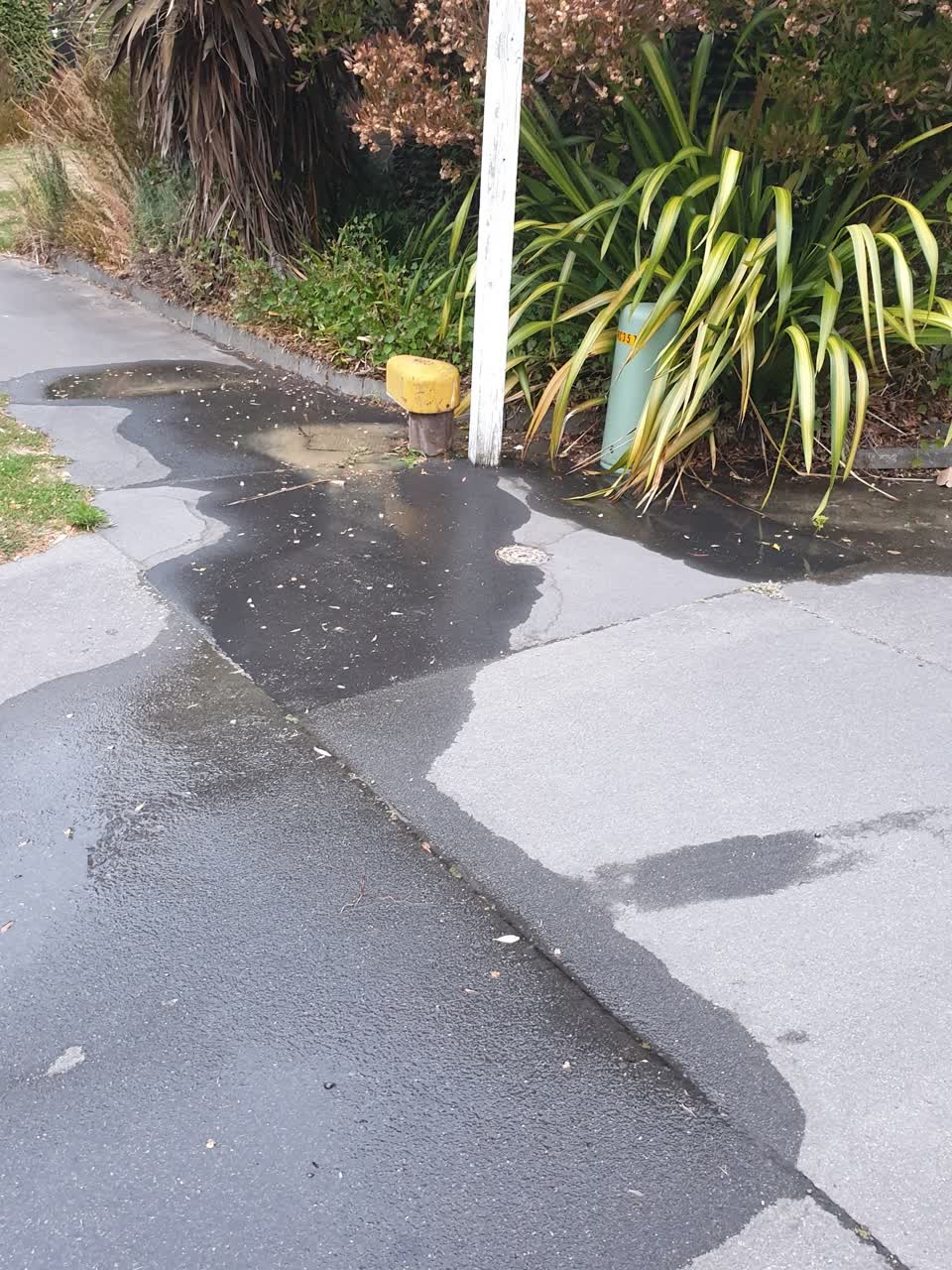 The photograph attached to this water supply report