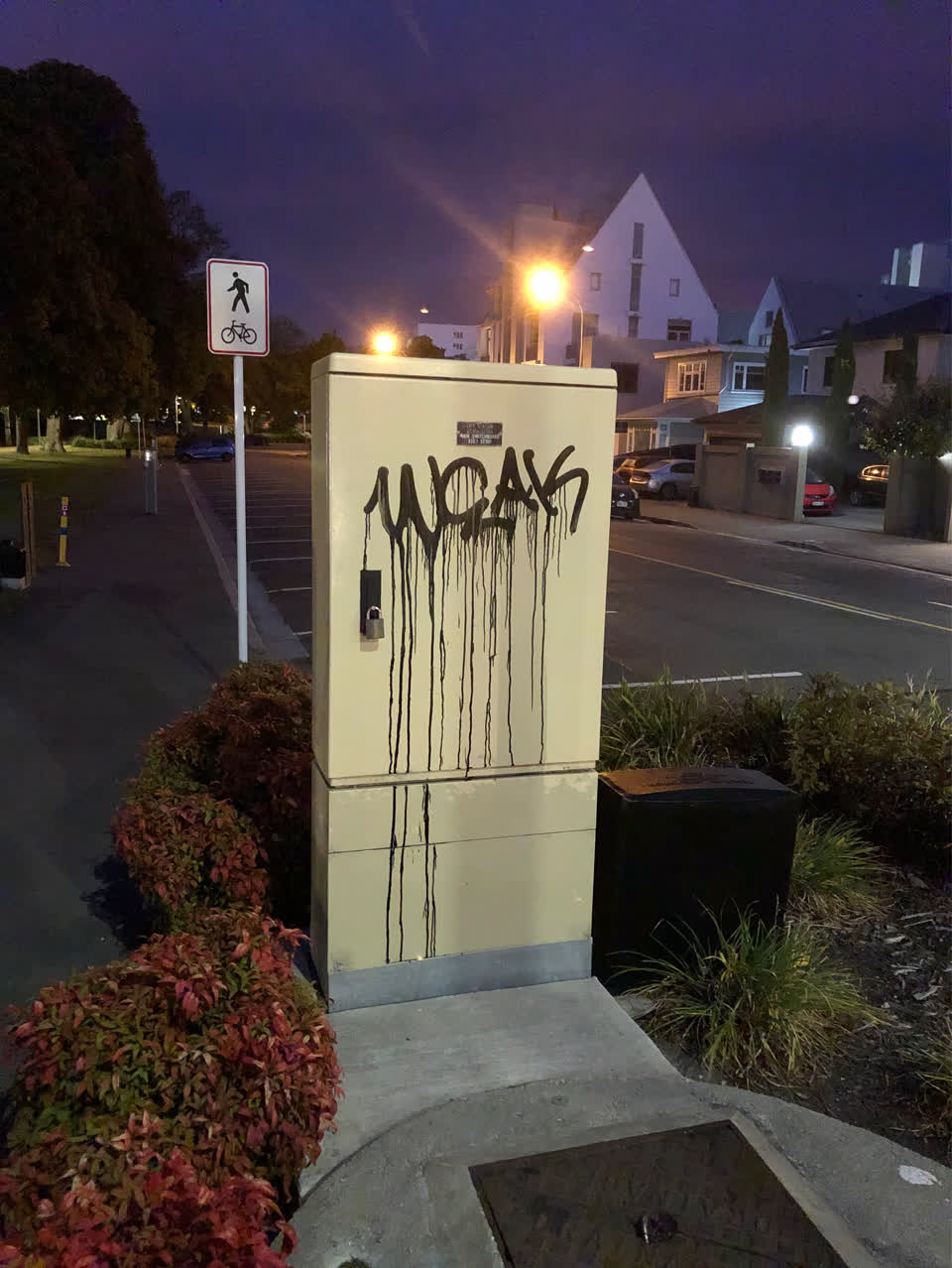 The photograph attached to this graffiti report