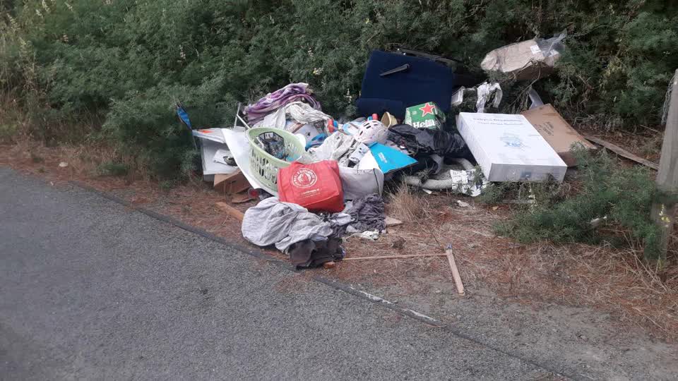 The photograph attached to this parks report