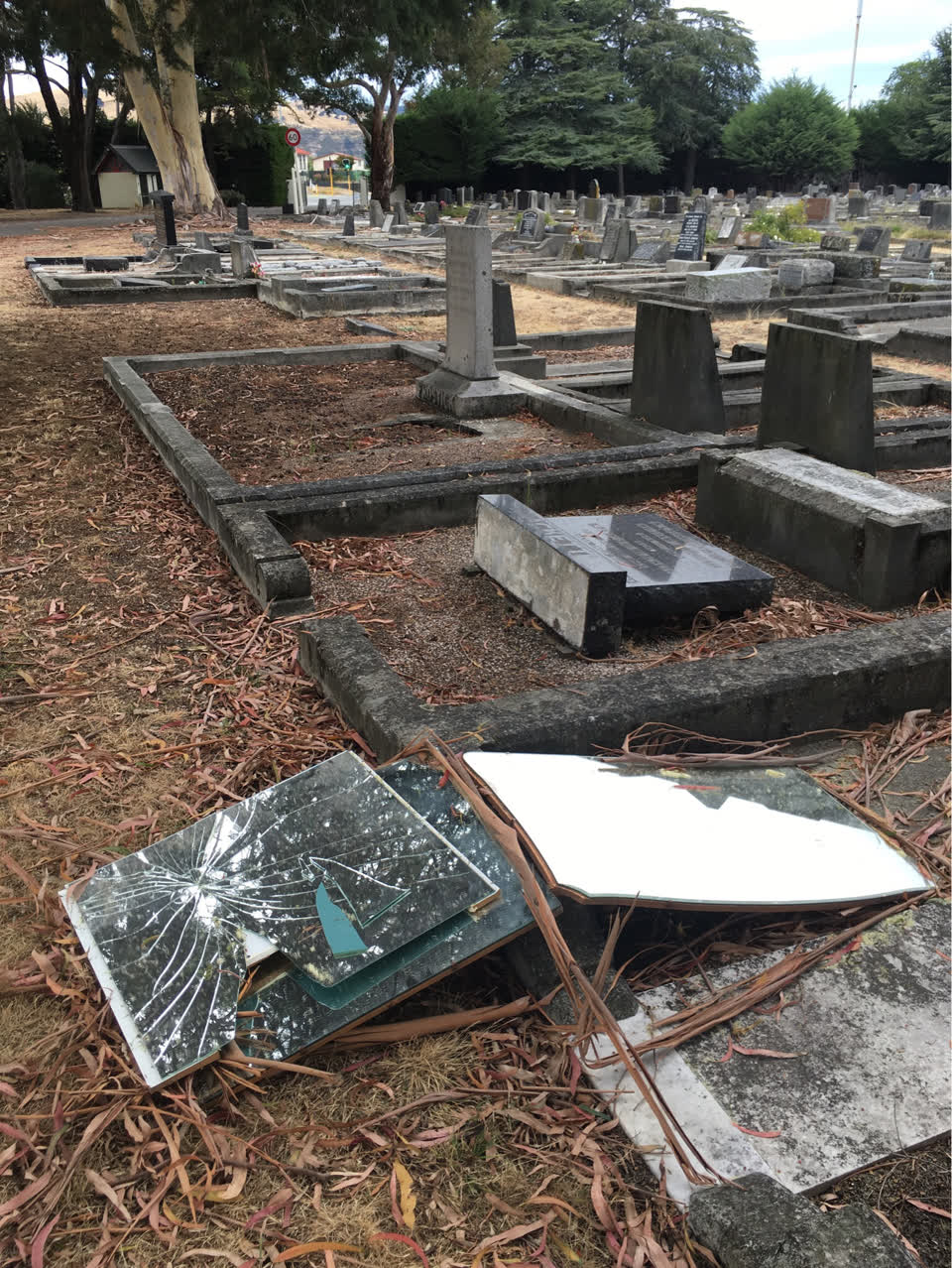 The photograph attached to this parks report