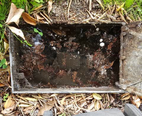 Water Supply, a report photo