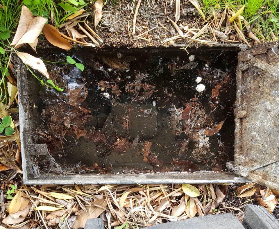The photograph attached to this water supply report