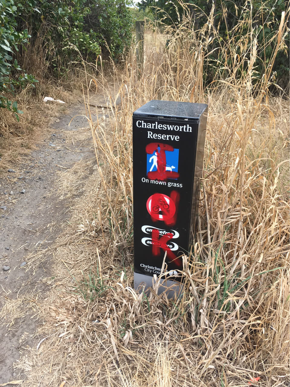 The photograph attached to this parks report