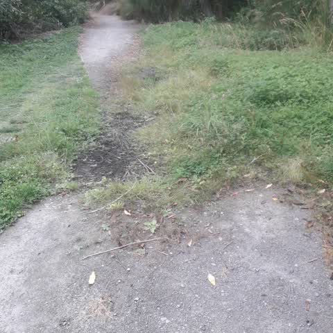 Parks, a report photo