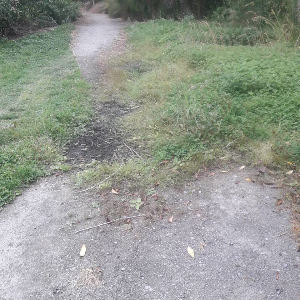 The photograph attached to this parks report