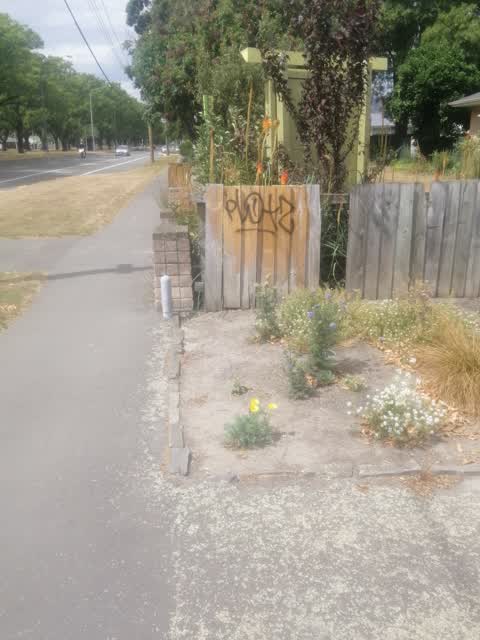 Graffiti, a report photo