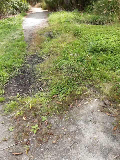 Parks, a report photo