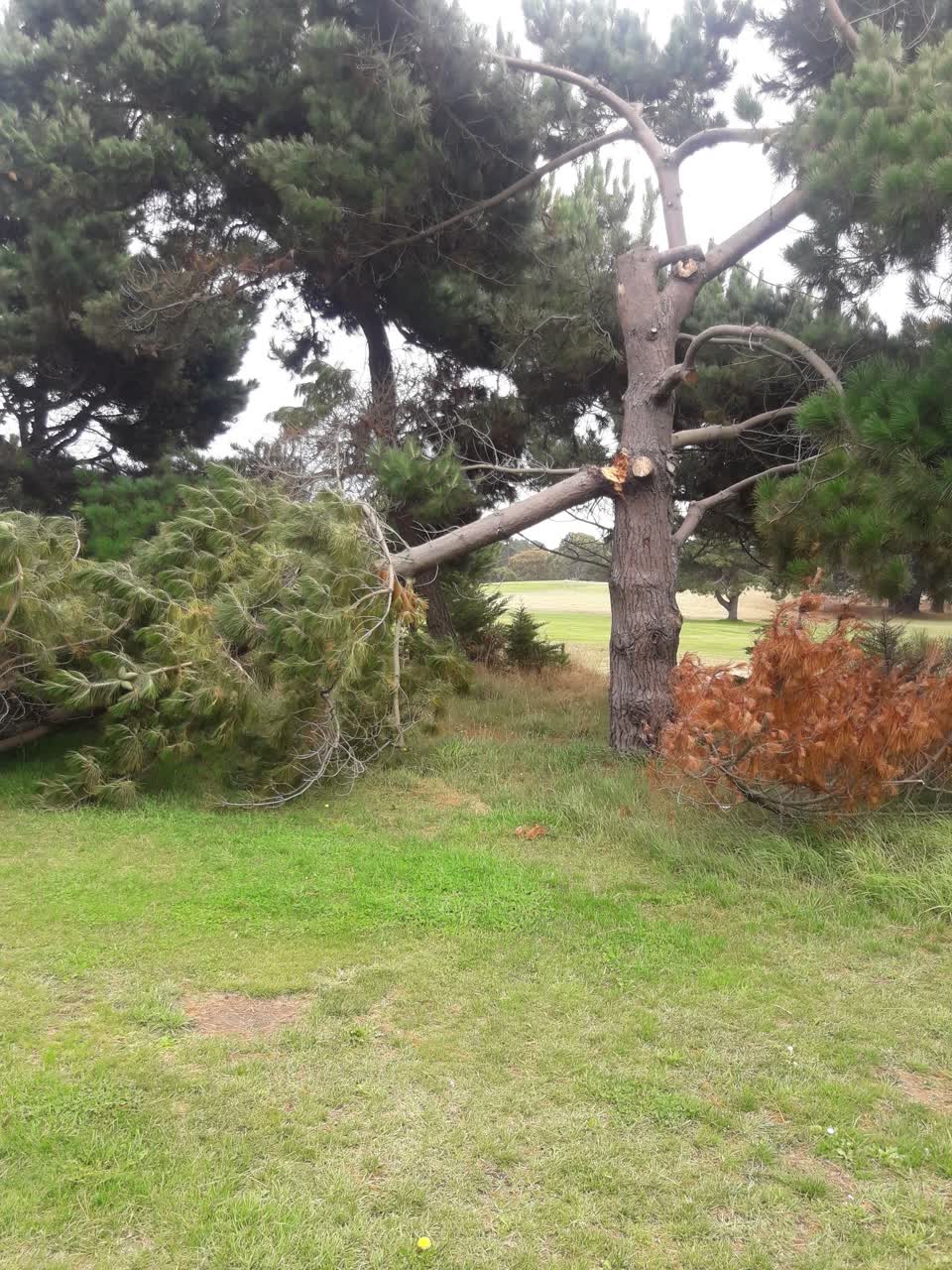 The photograph attached to this parks report