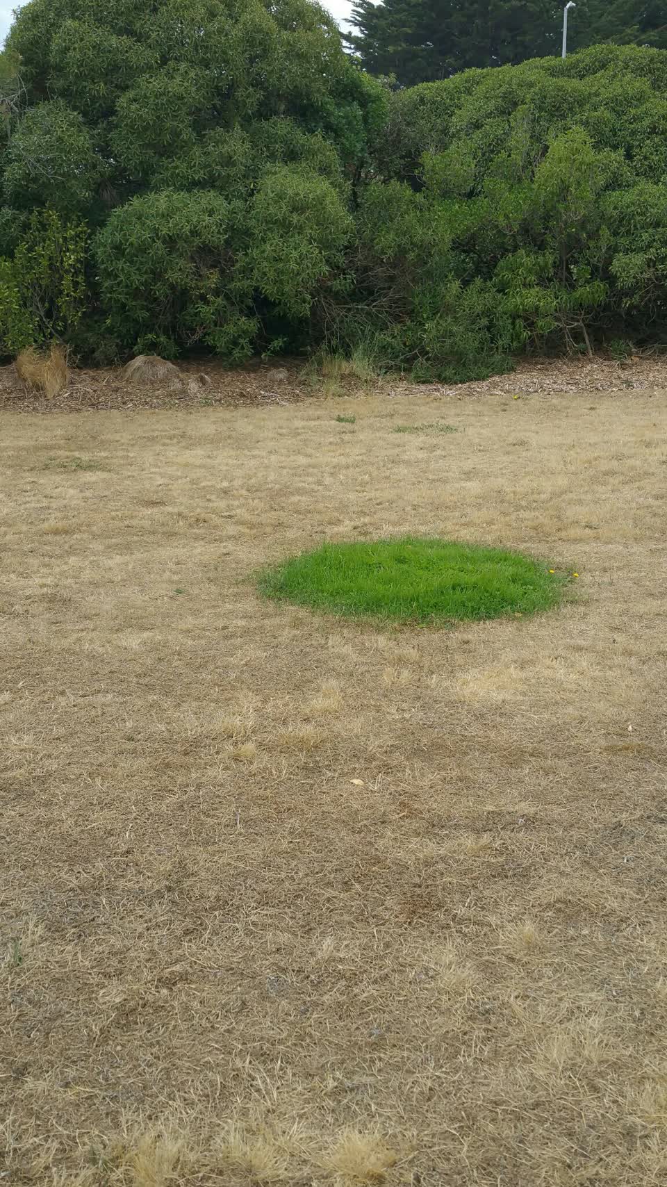 The photograph attached to this water supply report