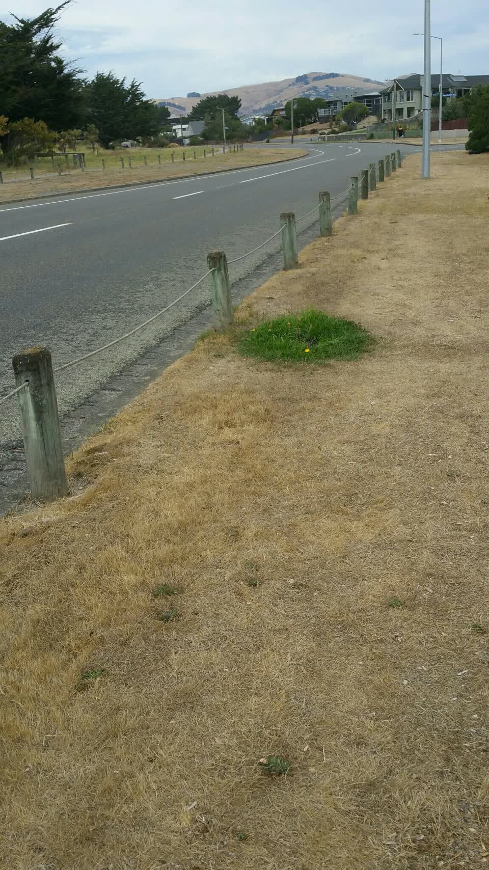 The photograph attached to this water supply report