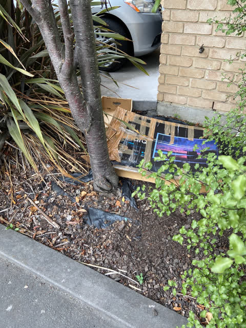 Rubbish/Recycling, a report photo