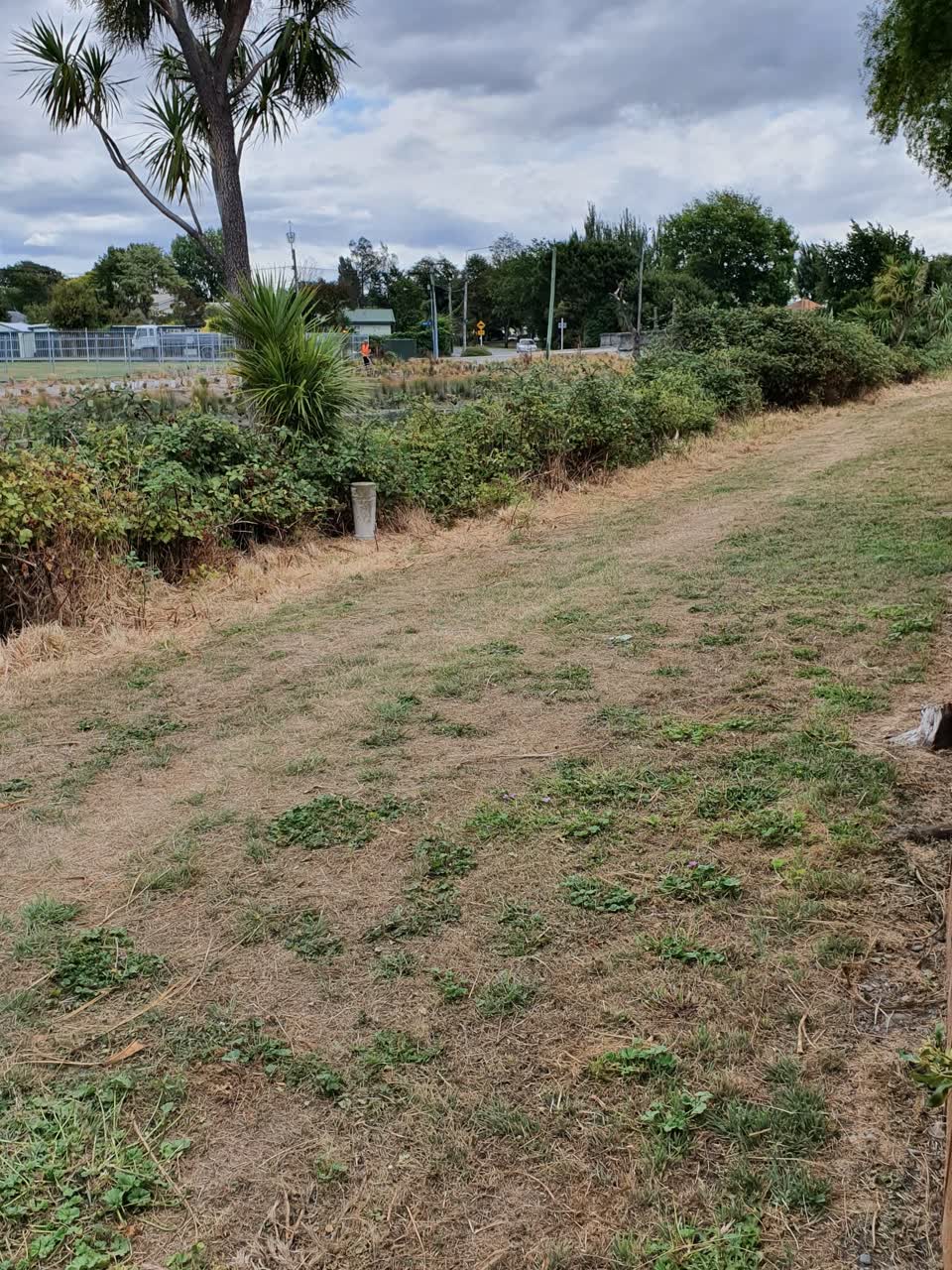 The photograph attached to this parks report