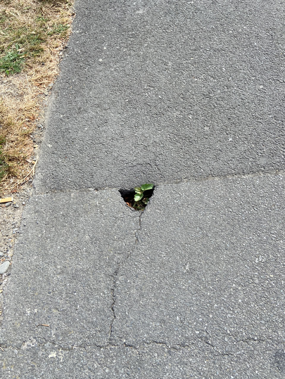The photograph attached to this roading/streets report