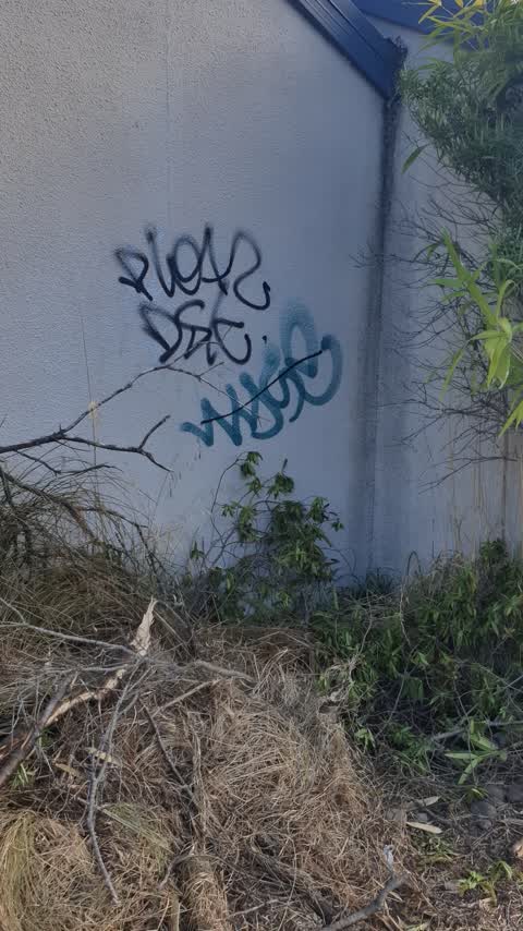 Graffiti, a report photo