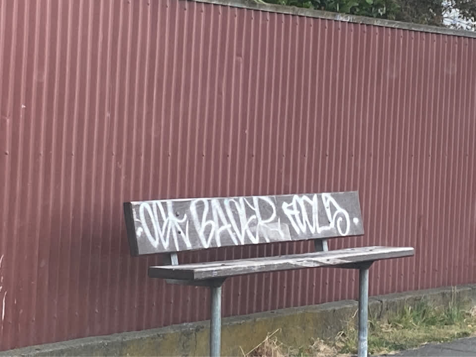 The photograph attached to this graffiti report