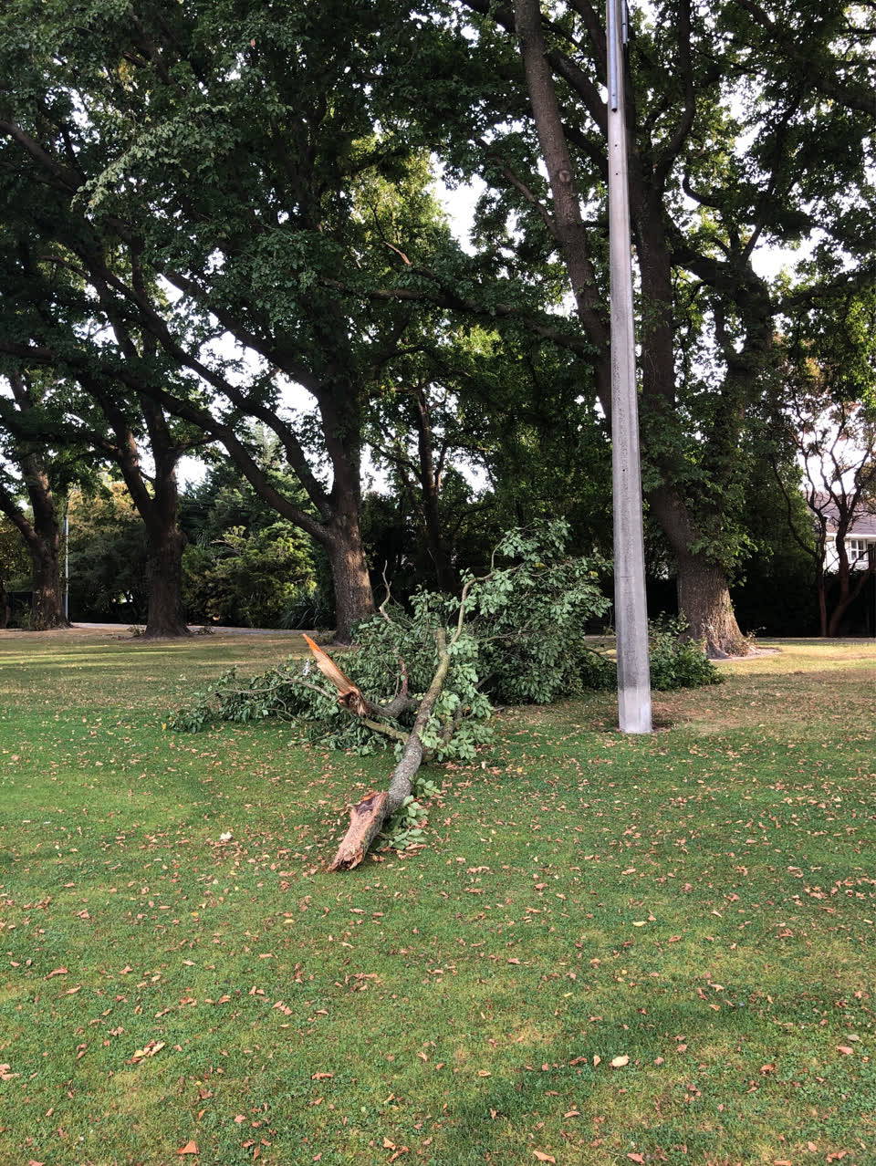 The photograph attached to this parks report