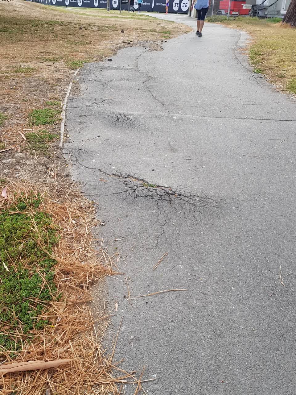 The photograph attached to this parks report