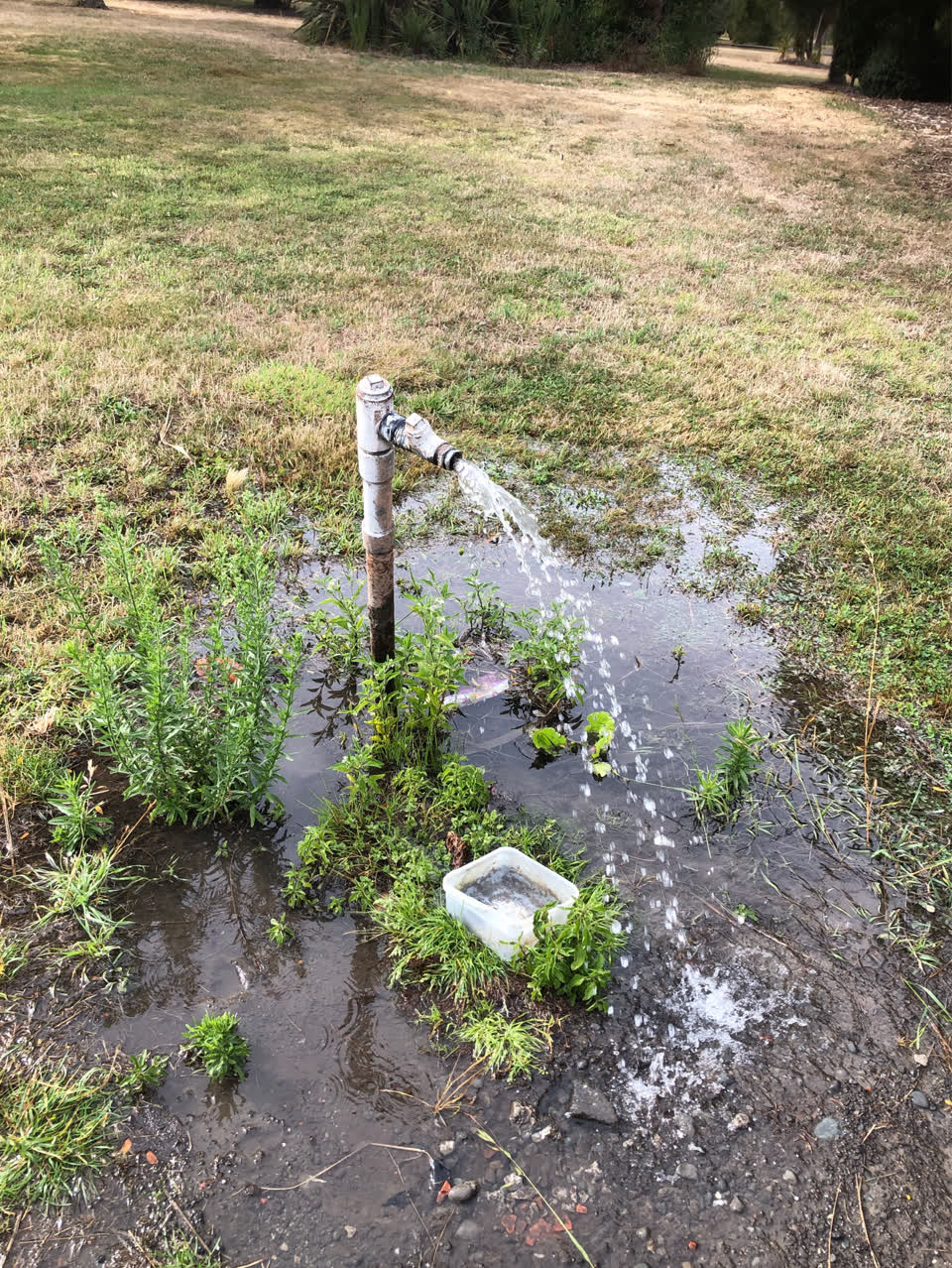 The photograph attached to this water supply report