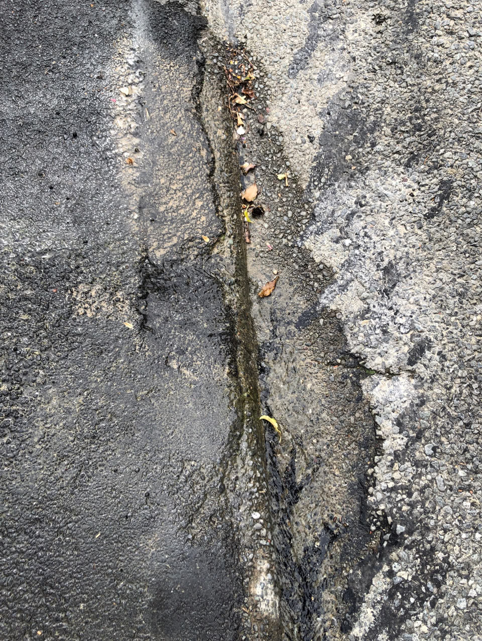 The photograph attached to this water supply report
