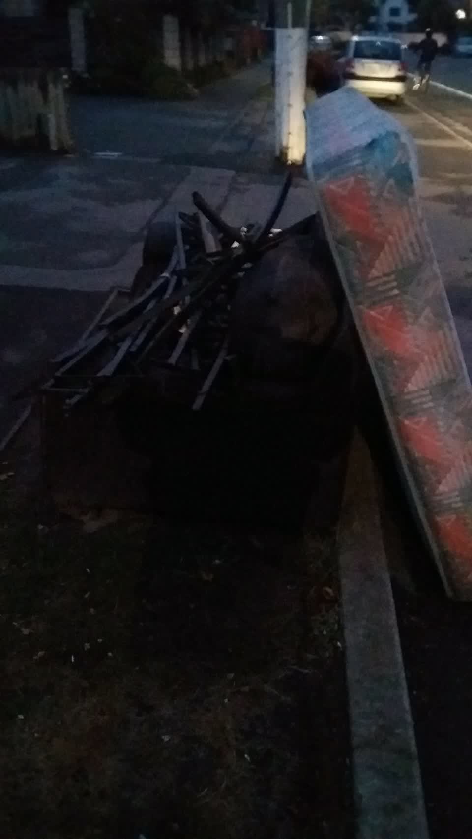 The photograph attached to this rubbish/recycling report