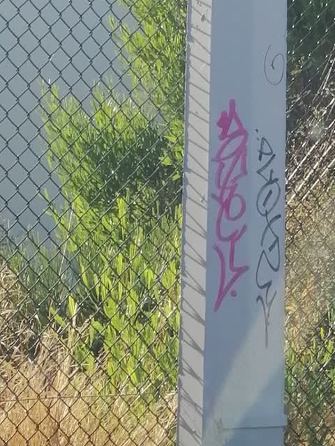 Graffiti — a report photo