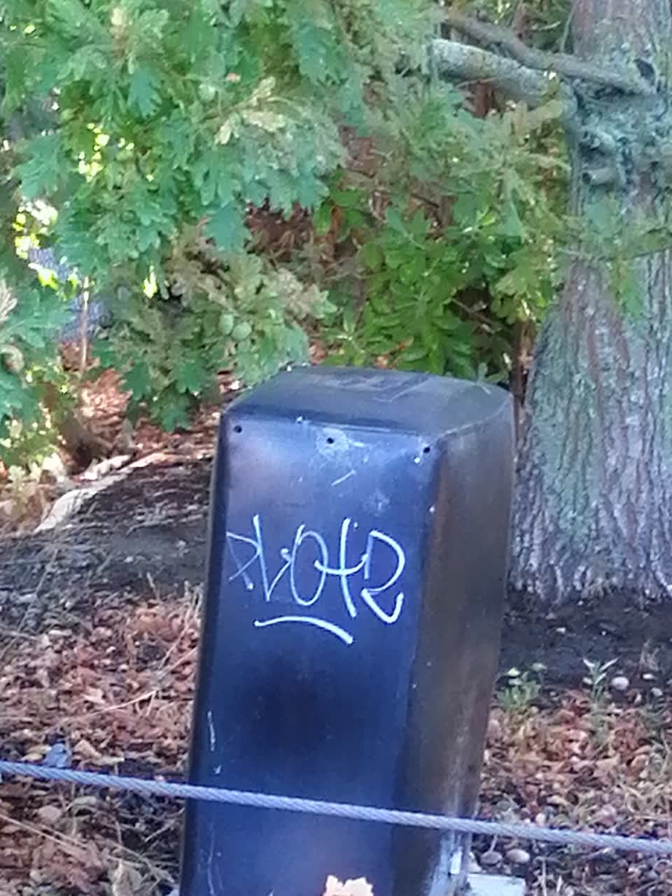The photograph attached to this graffiti report