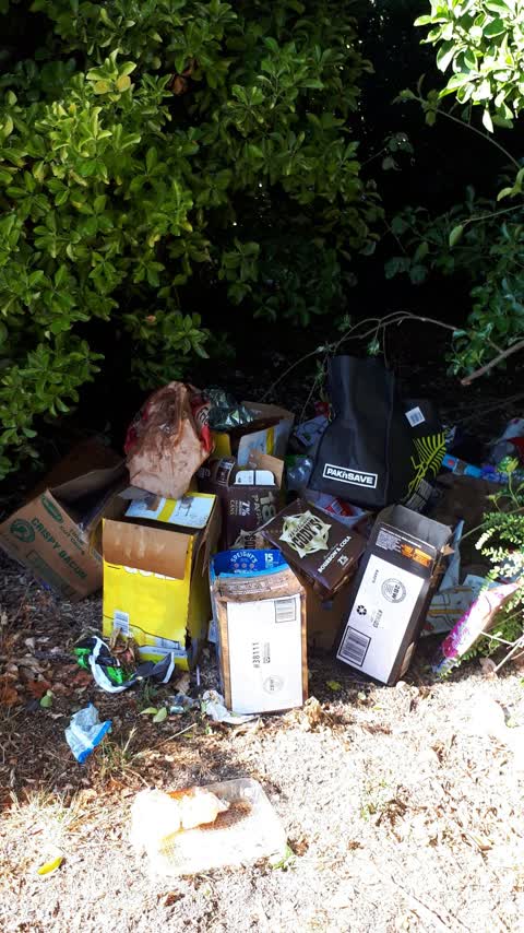 Rubbish/Recycling, a report photo