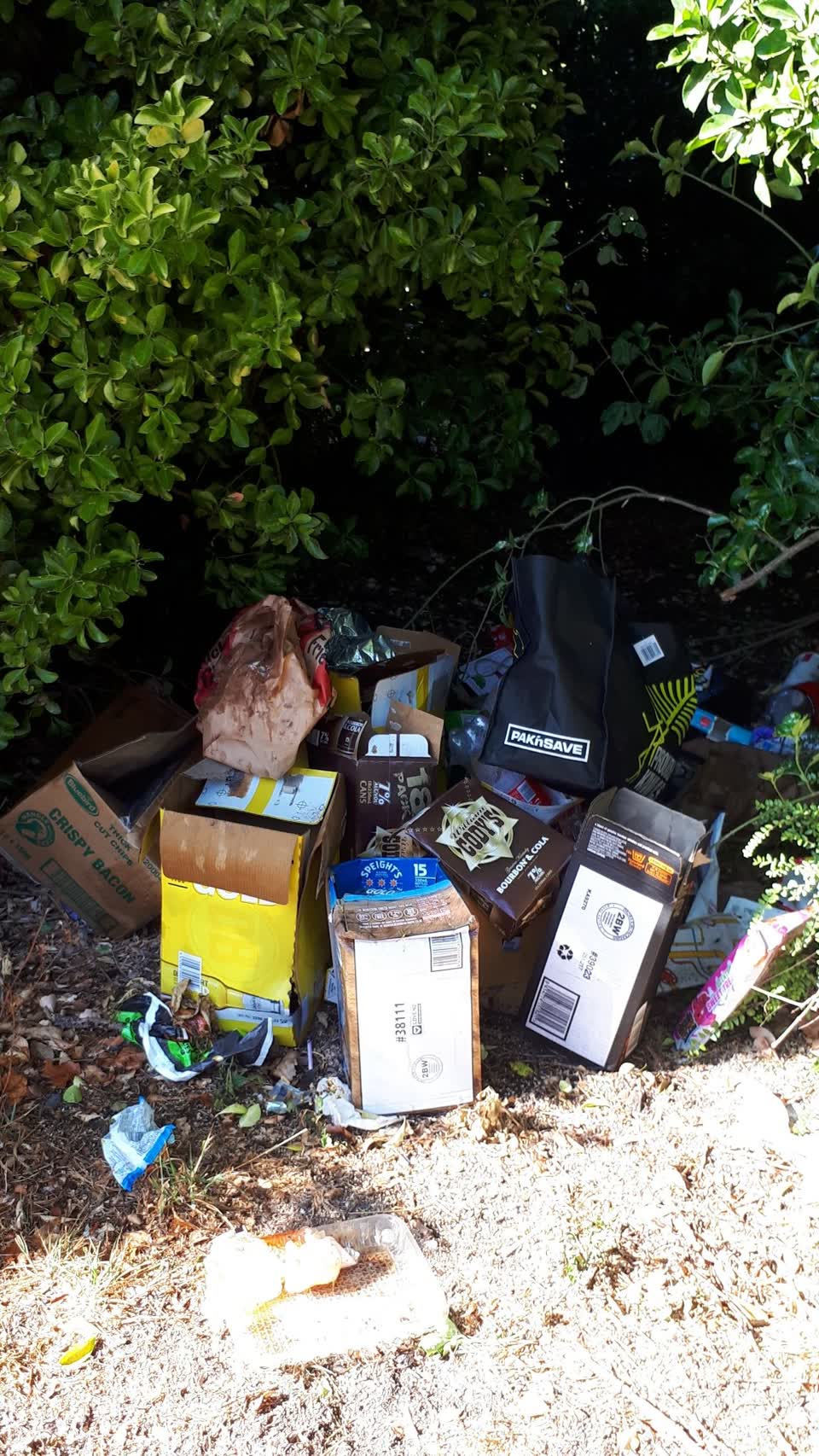 The photograph attached to this rubbish/recycling report