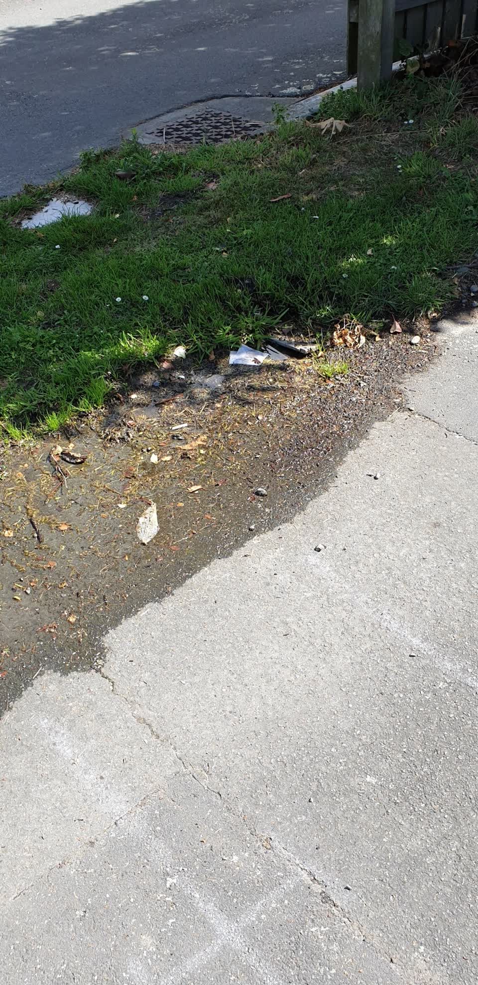 The photograph attached to this water supply report