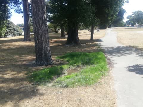 Parks — a report photo