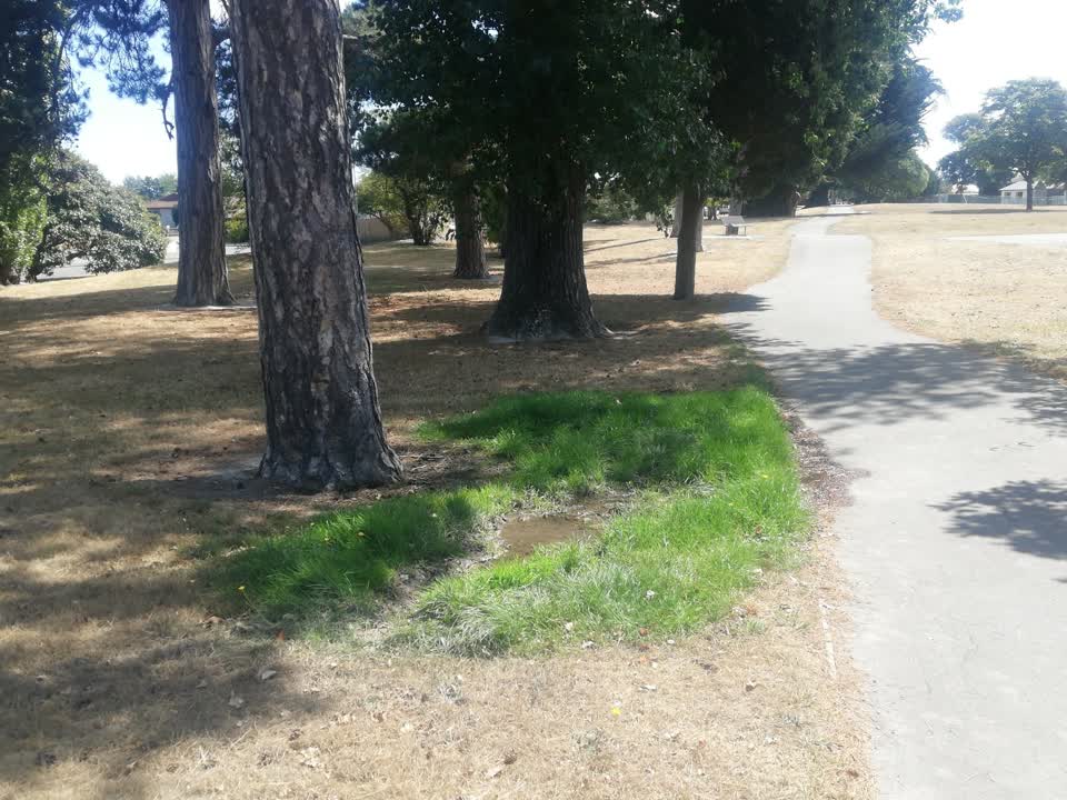 The photograph attached to this parks report
