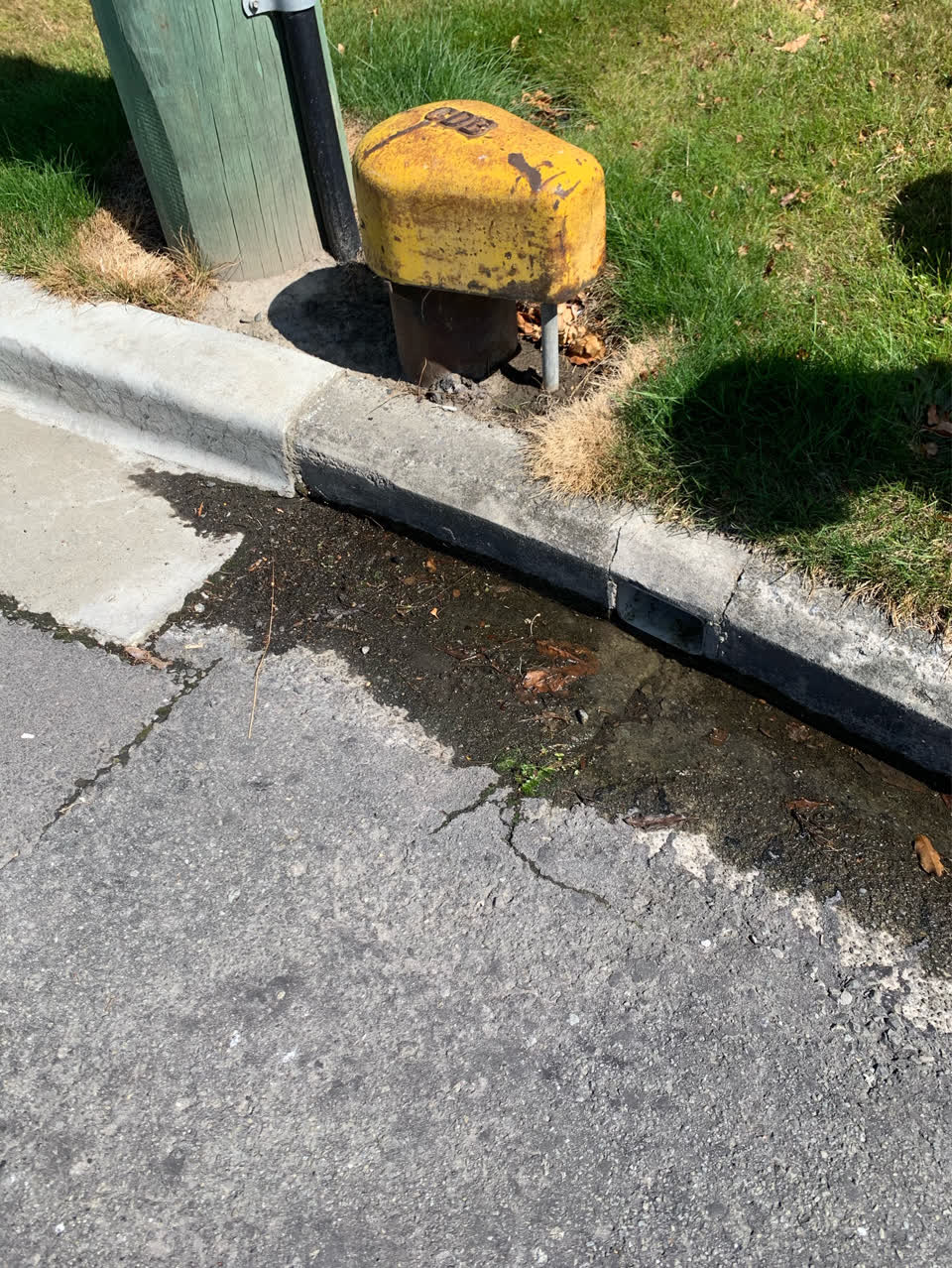 The photograph attached to this water supply report